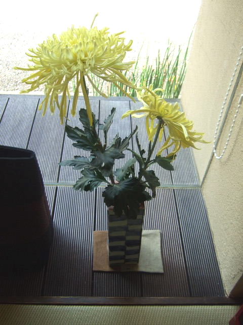 2011_10170005.JPG