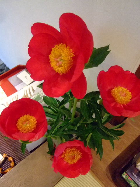 DSCF8897.JPG